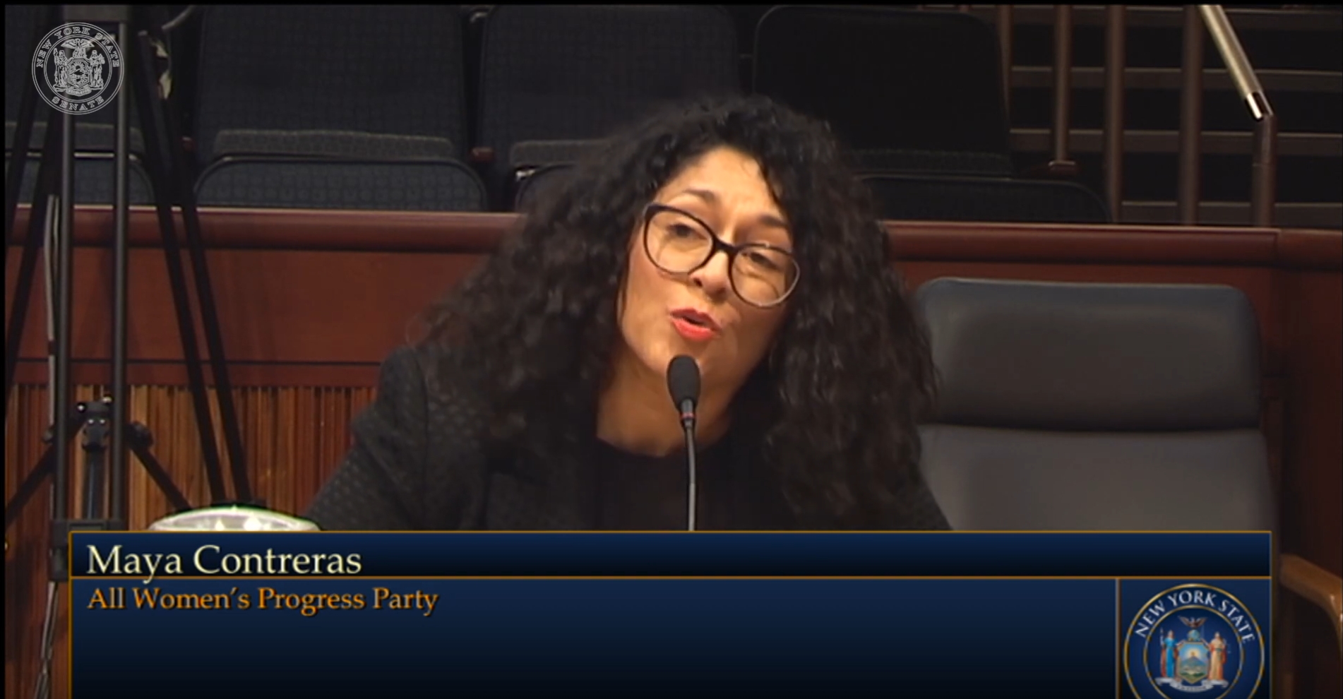 Woman speaking at microphone in legislative chambers
